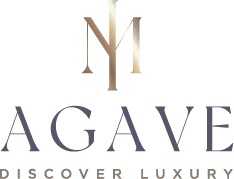 Agave